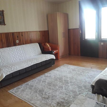 Vila Trtovic Nova Varoš 外观 照片