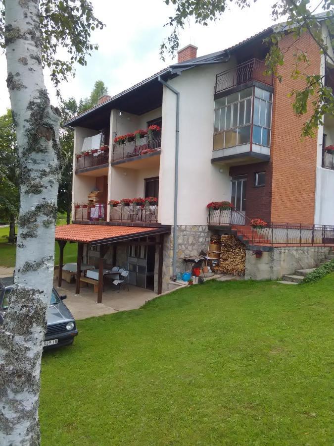 Vila Trtovic Nova Varoš 外观 照片