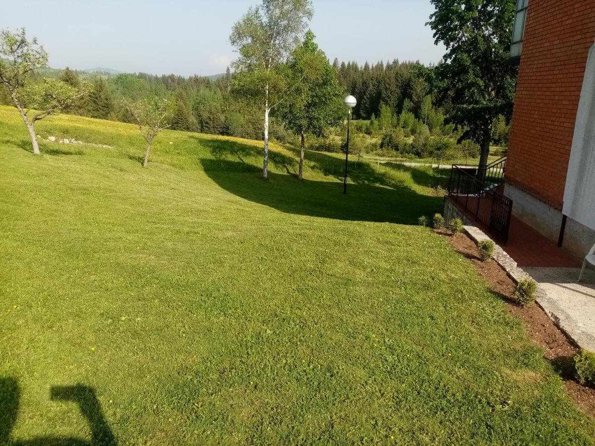 Vila Trtovic Nova Varoš 外观 照片